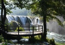 Trying to Get Horses and Travel Plans