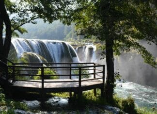 Trying to Get Horses and Travel Plans