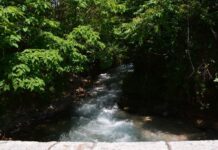 Trial and Perseverance in Early Christianity